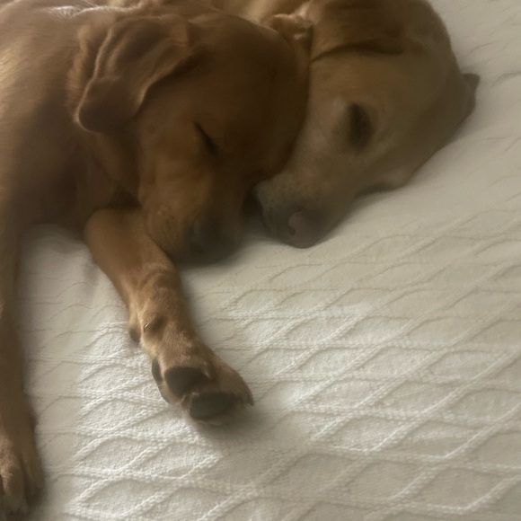 Meet your Posher, Patty - Picture 5 of 7